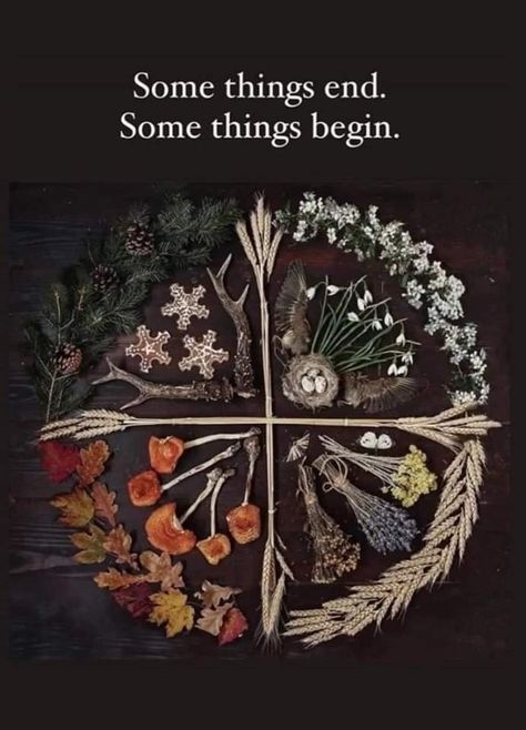 Magia Das Ervas, Folk Magic, Season Of The Witch, Beltane, Witch Aesthetic, Kitchen Witch, Green Witch, Samhain, Book Of Shadows