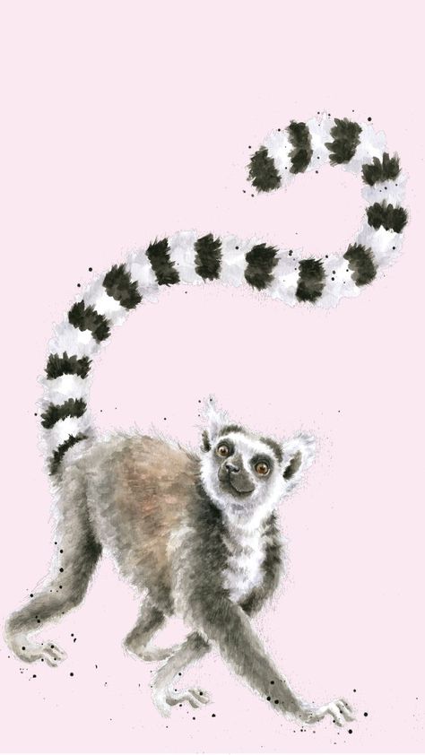 Lemur Watercolor, Lemur Drawing, Lemur Wallpaper, Ringtail Lemur, Lemur Illustration, Lemur Art, Ring Tailed Lemur, Wrendale Designs, Tropical Animals