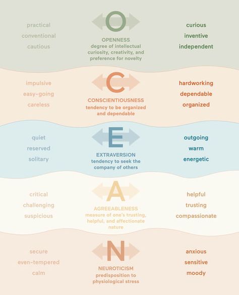 Ocean Personality Traits, The Big Five Personality, Ocean Personality, Big 5 Personality, All Personality Types, Anna Jacobs, Big Five Personality Traits, Theories Of Personality, Enfj Personality