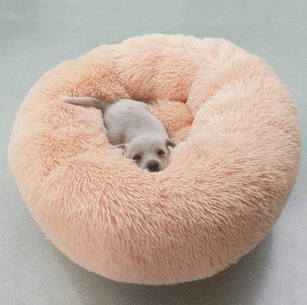 Latest Photo Round Rugs sofa Thoughts Have you wished to incorporate a circular rug in your house, but haven’t quite been sure how to ac #Latest #Photo #Rugs #sofa #Thoughts Luxury Pet Beds, Round Dog Bed, Cat Kennel, Donut Bed, Dog Bed Mat, Donut Dog Bed, Dog Basket, Pet Sofa, Modern Pet