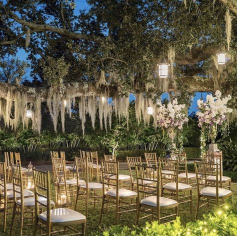 Bayou Wedding, Nola House, Louisiana Wedding Venues, Frog Wedding, Mardi Gras Wedding, Mansion Weddings, Weddings Dresses, Weddings Idea, Wedding Wednesday