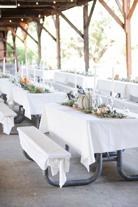 campground reception - photo by Jenny Smith and Co http://ruffledblog.com/pumpkin-themed-fall-wedding Picnic Table Wedding, Pavilion Wedding Reception, Pavillion Wedding, Wedding Reception Themes, Jenny Smith, Campground Wedding, Picnic Table Bench, Wedding Reception Planning, Pavilion Wedding