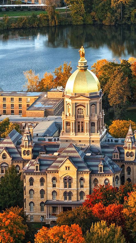 University of Notre Dame Notre Dame Gifts, Notre Dame Wallpaper, Notre Dame Baby, Notre Dame Campus, Noter Dame, Campus Aesthetic, Notre Dame College, Saint Marys College, Golden Dome