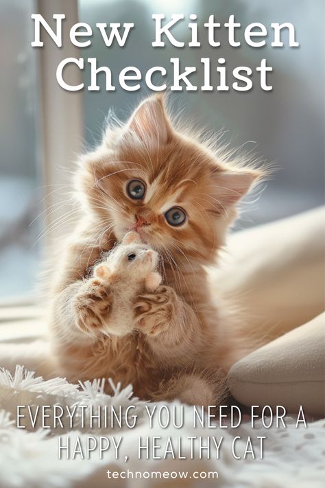 Discover everything you need for your new feline friend with our 'New Kitten Checklist.' From snuggly beds to engaging toys, we make sure your kitten's move to their forever home is seamless and joyful. Check out our article for a comprehensive list of essentials for your new kitten! 🐾🐈 #NewKitten #KittenCare #PetPrep #HappyHealthyPets What Do You Need For A New Kitten, Preparing For Kittens, Kitten Checklist New, Kitten Needs List, Kitten Announcement Ideas, New Kitten Essentials, Kitten Essentials List, Kitten Must Haves, New Kitten Checklist