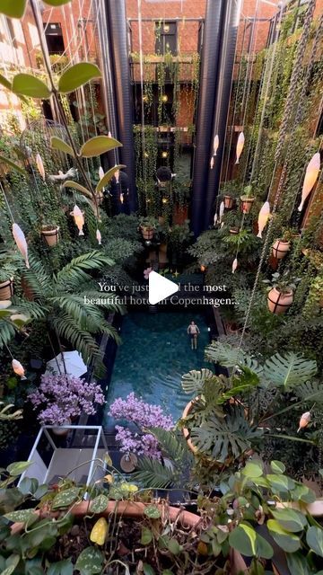 Alex Zouaghi on Instagram: "This just got to be the MOST BEAUTIFUL HOTEL I have ever stayed in! 😮😍
And yes, it’s all real and it does look like that in real life too! I was blown away by this place! Just look at that swimming pool and how incredible the interior is. I can confirm, this hotel is not in Bali or in Thailand but in the heart of Copenhagen! Incredible right?
And believe it or not, it’s also surprisingly accessible! You could get a suite and breakfast for 100£ per night and per person! I know, un-be-lie-vable! 🤩 I would absolutely book it again for my next stay in Copenhagen! And so should you! I am leaving the exact name and location in the comment section!
Make sure to save the post for your next stay in Copenhagen!
.
📍: Location and name of the hotel are in the comment se Manon Les Suites, The Savoy London, Savoy London, Where Are We Going, Patio Garden Design, Pole Barn Homes, Amazing Views, Got To Be, Slow Life