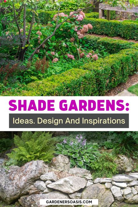 Get inspiration for your shade garden design layout with these pictures of plants, outdoor spaces, and shade flower beds. Whether you're working in a large backyard, a side yard or even small spaces, you're sure to find some shade garden ideas you'll love. Garden Design For Shaded Areas, How To Create Shade In Garden, Shade Loving Vegetable Garden, Garden Planning Layout Shade, Lush Shade Garden, Blue Flowering Plants, Evergreen Bush, Low Growing Shrubs, Shade Garden Design