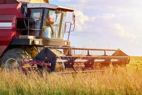 Harvester machine working to harvest rye... | Premium Photo #Freepik #photo #food #technology #summer #nature Harvester Machine, Rye Field, Food Technology, Photo Food, Photoshop For Photographers, Summer Nature, Rural Landscape, Harvest Festival, Photography Tutorials