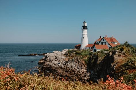 Maine is divesting from fossil fuels, showing the power of youth activism Maine Fall Foliage, Maine Fall, Day Trips From Boston, Fall Foliage Trips, Maine In The Fall, Portland Head Light, Maine Vacation, New England States, Scenic Road Trip