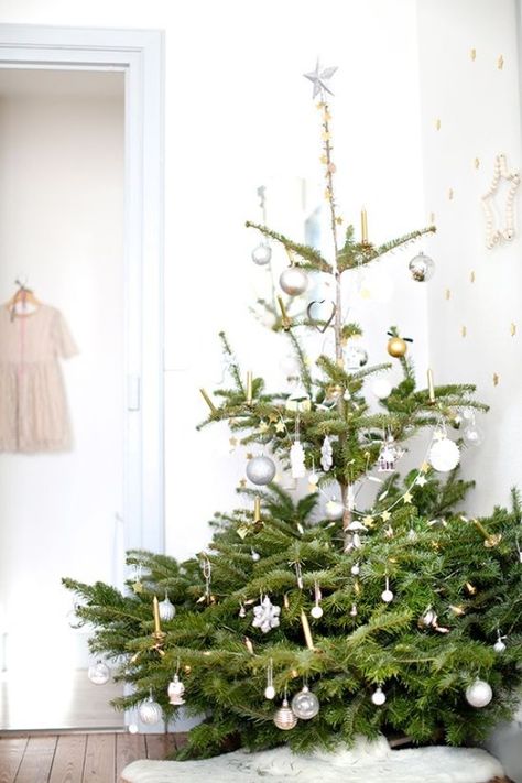 ♥ Natural Christmas Tree, Creative Christmas Trees, Xmas Trees, White Christmas Trees, Christmas Planner, Natural Christmas, Coastal Christmas, Rustic Christmas Tree, Mini Christmas Tree