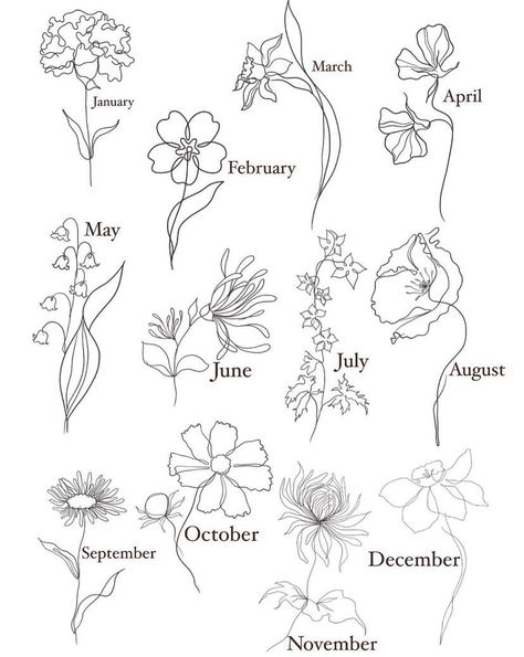 Birth Plants Tattoos, Timeline Flower Tattoo, June Birth Flower Drawing, Fine Line Honeysuckle Tattoo, June Flower Tattoo, Tattoo Pols, December Flower Tattoo, Playlist Journal, Honeysuckle Tattoo