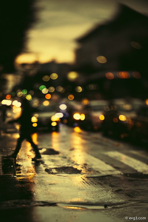 Rainy Streets, Cool Wallpapers For Your Phone, Rain World, Rainy Street, Ysl Makeup, Rain Photo, Rain Wallpapers, Portrait Editorial, Breathtaking Photography