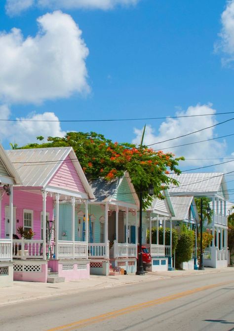 10 Steps to an Awesome Day in Key West in 2022 Key West Old Town, Key West Photography, Keywest Florida Aesthetic, Key West Vibes, Key Largo Aesthetic, Florida Key West, Key West Photo Ideas, Key West Florida Aesthetic, Florida Keys Aesthetic