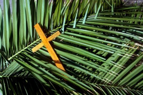 Palm Sunday Images, Happy Palm Sunday, Hosanna In The Highest, Triumphal Entry, Sunday Pictures, Sunday Images, Palm Sunday, Pentecost, Christian Videos