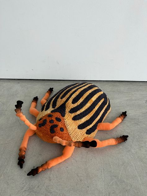 Alexandria Masse, Crochet Insects, Bug Pillow, Potato Beetle, Bug Sculpture, Bug Crochet, Giant Crochet, Bug Wall, Crafts For Boys