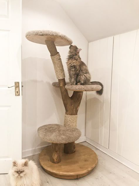 Bespoke Luxury Wooden Cat Trees & Cat Furniture Cat Room Diy, Cat Trees Homemade, Custom Cat Trees, Diy Cat Scratcher, Cat Scratcher Tree, Service Cat, Katt Grejer, Wooden Cat Tree, Cat Tree House