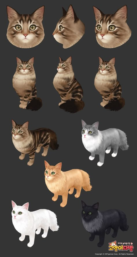 ArtStation - CafeKittyCat _ Norwegianforest, JiEun Moon Face Topology, Creature Reference, Hand Painted Textures, Animal Model, Cat Sketch, Body Reference Drawing, Cat Model, Low Poly Art, Cat Character