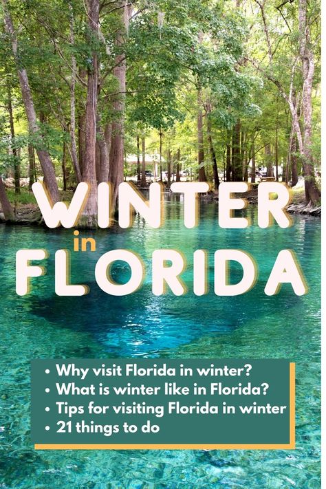 I love Florida in the summer but winter in Florida, even better. Florida in the winter is stunning; perfect sunny days, cool-ish nights, laid back vibes, and perpetual beach weather. Florida In The Winter, Clearwater Beach Florida In December, Florida In January, Florida In December, Flagler Beach Florida, Things To Do In Florida, Florida Vacation Spots, Florida Winter, Winter In Florida