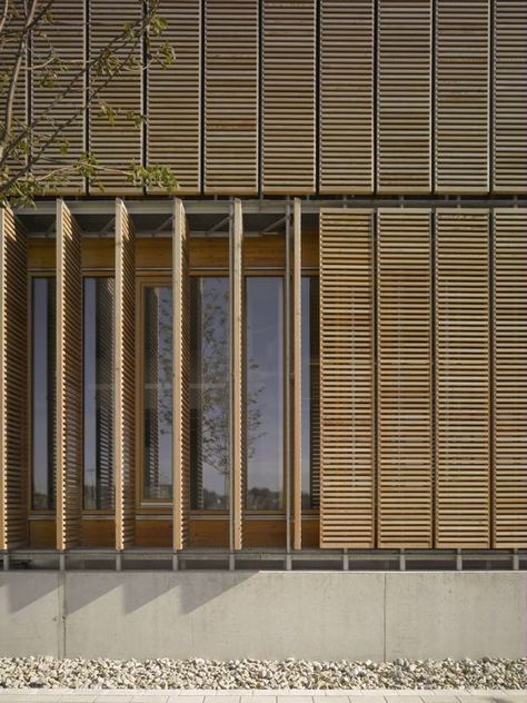 Solar control with wood pales, reduce the quantity of temperature and brings a touch of nature in the facade. Shading Device, Exterior Window, Wood Facade, Timber Screens, Wooden Facade, Wood Screens, Wood Architecture, Window Covering, Solar Shades