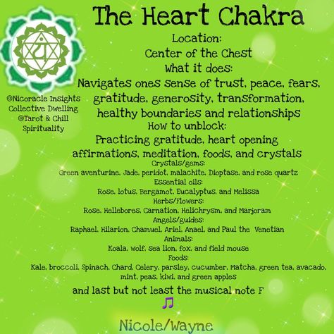 Chakra Workshop, Heart Chakra Meditation, Chakra Locations, Relationship Tarot, Chakra Healing Meditation, The Heart Chakra, Life Skills Lessons, Chakra Health, Chakra Affirmations