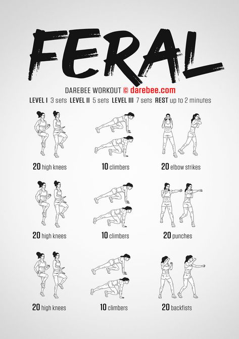 Feral Workout Men Exercise, Exercise Goals, Fatloss Transformation, Warrior Workout, Fitness Plans, Thai Design, Bizarre Facts, Body Exercises, Nutrition Diet