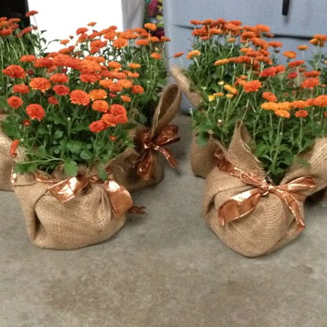 Fall wedding Mum Centerpiece Table Decorations, Workshops Ideas, Fall Wedding Color Palette, Fall Picnic, Thanksgiving Wedding, Raffle Baskets, Picnic Decorations, Wedding Simple, Outdoor Fall Wedding