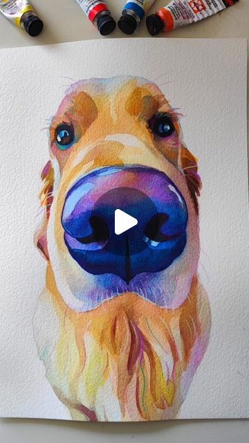 Sam Coleman on Instagram: "Building up the layers on this golden 🧡💜  #goldenretriever #paintingprocess #artreel #dogartists #watercolors" Husky Watercolor Painting, 4x4 Paintings, Kawai Drawing, Baby Labrador, 2024 Watercolor, Happy Husky, Water Colors Painting, Chalk Sidewalk, Watercolor Pencils Techniques