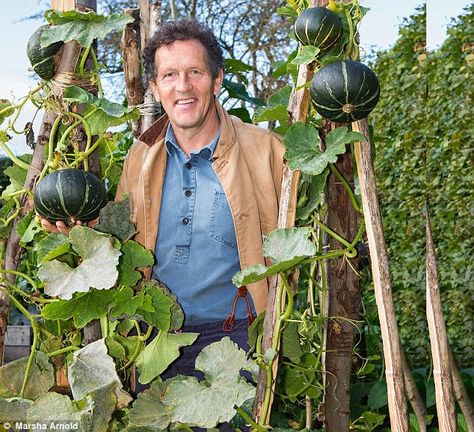 Pumpkin Trellis, Grow Pumpkins, Monty Don, Large Pumpkins, Vegetable Garden Raised Beds, Allotment Gardening, Growing Pumpkins, Vegetable Garden Planning, Home Vegetable Garden