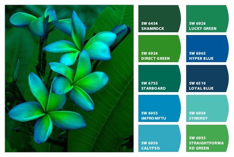 Shades Of Green Palette, Blue And Green Palette, Italian Style House, Turquoise Paint Colors, Aqua Color Palette, Blue Green Paints, Turquoise Painting, Green Palette, Blue Palette