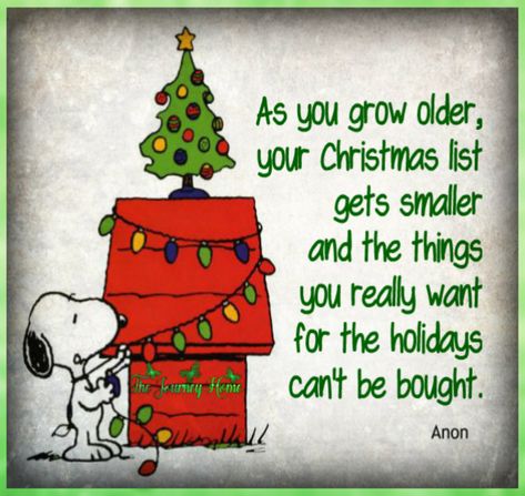 true story... Charlie Brown Quotes Christmas, Charlie Brown Christmas Quotes, Merry Christmas Charlie Brown, Charlie Brown Quotes, A Charlie Brown Christmas, Xmas Quotes, Barbie Quotes, Patience Quotes, Charlie Brown Snoopy