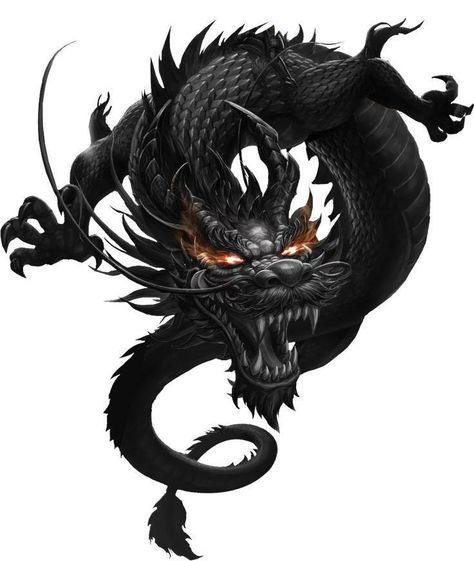 Japan style tattoo - black dragon Angry Dragon Tattoo, Black Japanese Dragon, Simbols Tattoo, Tato 3d, Asian Dragons, Black Dragon Tattoo, Dragon Tattoo Drawing, Dragon Png, Dragon Tattoos For Men