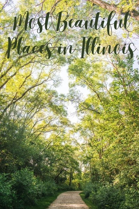 12 Wonderful Places in Illinois to Visit - Global Viewpoint Illinois Aesthetic, Starved Rock State Park, Shawnee National Forest, Great River, Winter Photos, Native American History, Scenic Drive, Beautiful Places To Visit, Japanese Garden