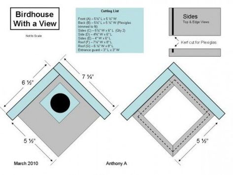 Bird Houses Plans, Diy Birdhouse Plans, How To Build Abs, Bird House Plans Free, Diy Birdhouse, Birdhouse Plans, Wren House, Wren Bird, Bird Houses Ideas