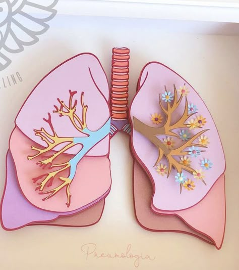 Brain Poster Project, Lung Sculpture, Lung Experiment, Respiratory System Projects, Body Systems Project, Nursing Aesthetic, Brain Poster, Art Of Persuasion, Cna Nurse