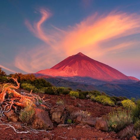 🌴✨ Discover Tenerife with LetsJourney! 🌴✨ Nestled in the azure waters of the Atlantic Ocean, Tenerife is a true gem of the Canary Islands. From the towering heights of Mount Teide to the sun-kissed beaches of Playa de las Americas, there's something for everyone! 🌋 Hike through the stunning volcanic landscapes of Mount Teide, Spain's highest peak. Enjoy breathtaking views and unique flora and fauna! 🏖 Relax and unwind in Playa de las Americas, where golden sands and crystal-clear waters aw... Island Destinations, Romantic Vacations, Desert Island, All In One App, Island Tour, Island Travel, Island Vacation, Canary Islands, Caribbean Islands