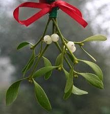 The history of mistletoe......Ladies' Historical Tea Society White Berries, Illustration Christmas, Mistletoe Kiss, Winter's Tale, Scrapbooking Cards, Open Fire, 12 December, Deco Floral, Kwanzaa