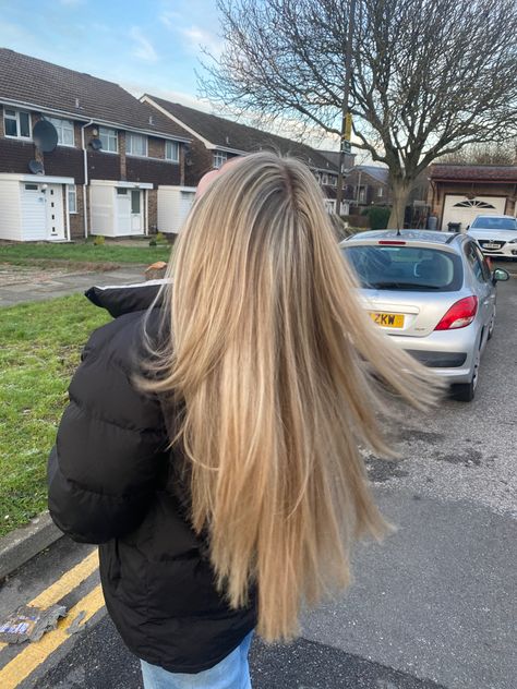 Brown Blonde Hair Highlights, Blonde Highlights Half Head, Half A Head Of Highlights Blondes, Dark Blonde Hair With Highlights And Lowlights, Blonde Half Head Highlights, Half Head Blonde Highlights, Blond Hair With Brown Lowlights, Half Head Highlights Brown Hair, Highlight Lowlight Blonde