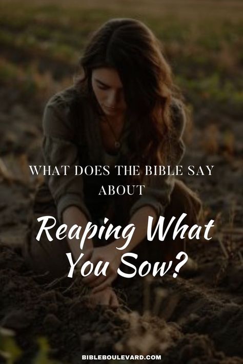 What Does the Bible Say About Reaping What You Sow? Sowing And Reaping, Law Of Cause And Effect, Actions Have Consequences, Reap What You Sow, Best Bible Verses, Bible Says, Bible Study Notebook, Personal Responsibility, Bible Notes