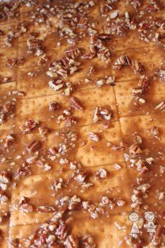 Graham Bars, Graham Cracker Bars, Fundraisers Ideas, Easy Squares, Trendy Desserts, Graham Cracker Toffee, Cracker Dessert, Graham Cracker Recipes, Graham Cracker Cookies