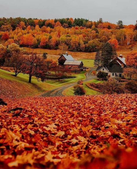 Vermont Farms, Woodstock Vermont, Vermont Fall, New England Fall, Autumn Scenes, Autumn Scenery, Autumn Beauty, Fall Pictures, Autumn Cozy