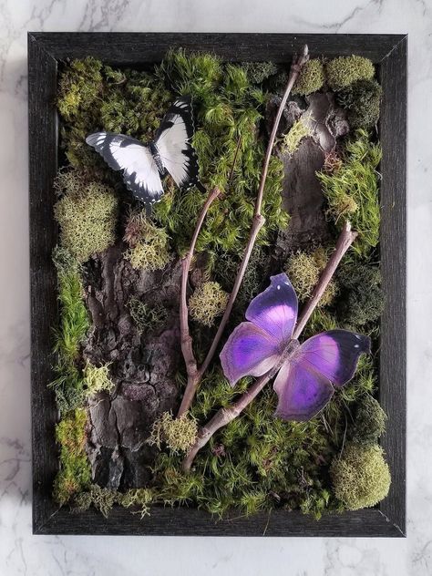 Butterfly Forest framed moss art CUSTOM ORDER ITEM | Etsy Butterfly Shadow Box, Butterfly Forest, Butterfly Shadow, Nature Magic, Moss Decor, Forest Style, Moss Art, Moss Wall, Wall Garden