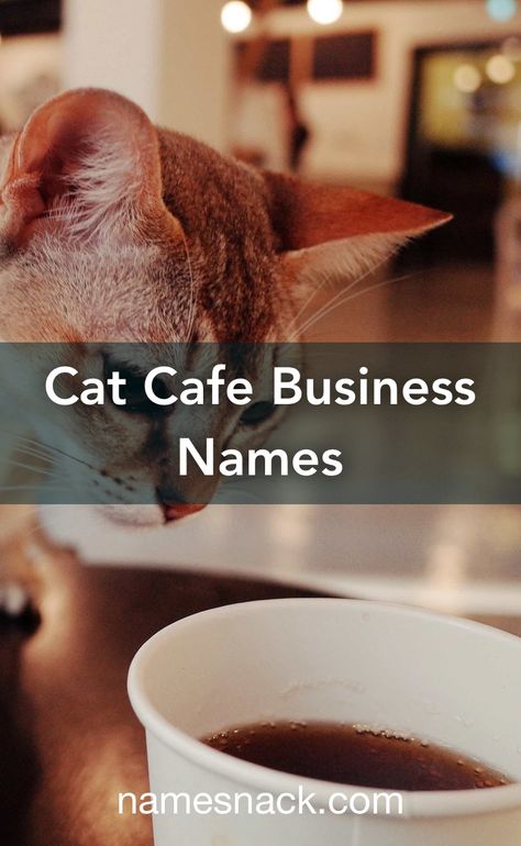 Cat Cafe Name Ideas, Cat Cafe Ideas, Cafe Names Ideas, Coffee Shop Names, Coffee Slogans, Coffee Names, Pet Cafe, Shop Name Ideas, Cafe Business