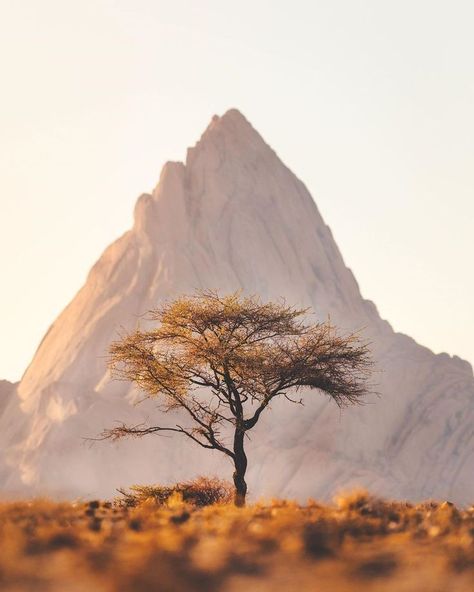 Karl Shakur, Namibia Travel, Video Project, Namib Desert, Landscape Pictures, Canon Photography, Travel Tours, Africa Travel, Travel Life