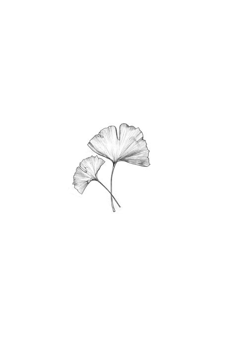 Ginko Leaf Tattoo Minimalist, Ginkgo Tattoo Minimal, Ginko Leaf Tattoos Design, Ginko Biloba Tattoo, Bonsai Tattoo Minimalist, Gingko Leaves Drawing, Ginko Leaves Tattoos, Kowhai Tattoo, Ginko Leaf Tattoo