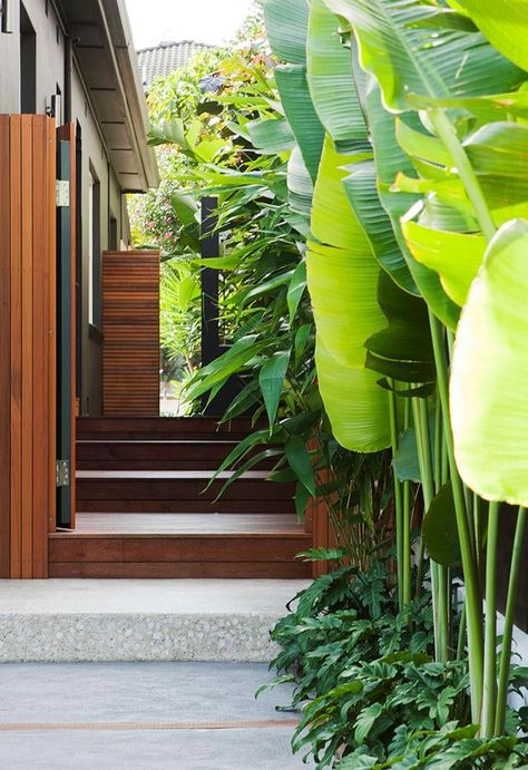 Bali Garden, Landscape Gardening, Side Yard Landscaping, Tropical Garden Design, Tropical Backyard, Garden Makeover, Tunbridge Wells, Side Garden, Garden Architecture