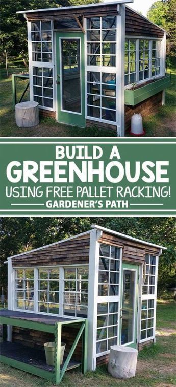 Pallet Greenhouse, Serre Diy, Window Greenhouse, Recycled Window, Farming Life, Pallet Racking, Build A Greenhouse, Greenhouse Ideas, Home Greenhouse