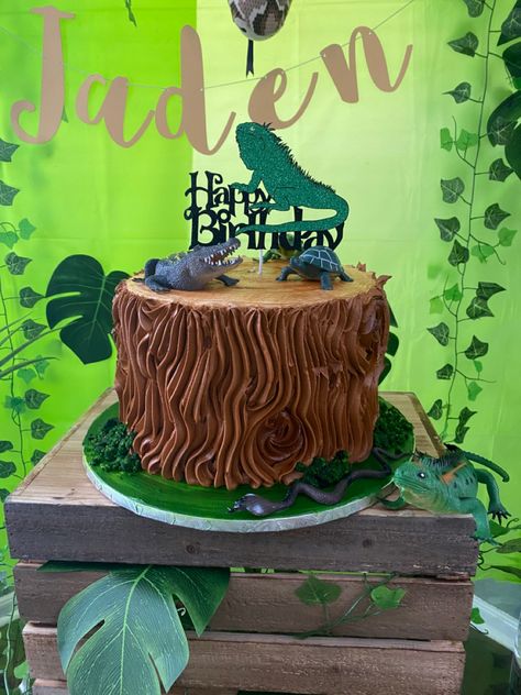 Reptile Birthday Cake, Reptile Cake, Alligator Birthday Parties, Alligator Birthday, Snake Party, Reptile Party, Living Fossil, Log Cake, Animal Birthday Party