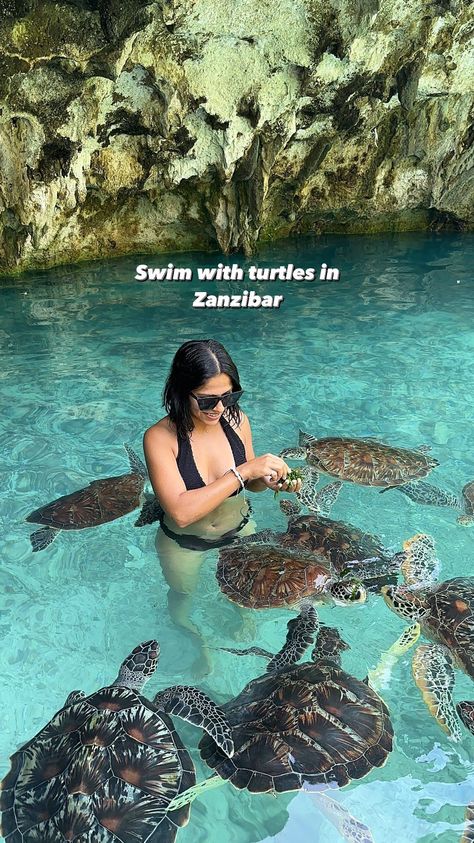 Recipe of the World | 📍Cairo to Capetown | 📍Salaam Cave, Kizimkazi Zanzibar #zanzibar #turtles #swimwithturtles #zanzibarlife #tanzania #thingstodoinzanzibar #zanzibartravel… | Instagram Zanzibar Turtles, Kizimkazi Zanzibar, Zanzibar Travel, World Recipes, Cairo, Tanzania, Turtles, Bucket List, Things To Do