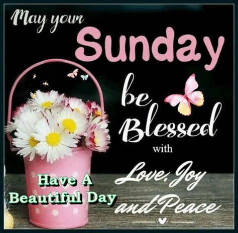 Sunday Wishes Images, Blessings Gif, Happy Sunday Photos, Sunday Morning Wishes, Blessed Sunday Quotes, Blessed Sunday Morning, Good Morning Sunday Images, Happy Sunday Morning, Sunday Morning Quotes