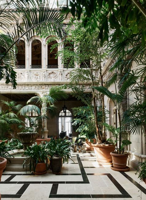 Inside a Historic San Francisco Mansion Where Art and Design Reign Free | Architectural Digest Conservatory Aesthetic, Cuba Interior, San Francisco Mansions, Beach Airbnb, French Colonial Style, Victorian Conservatory, Tropical Colonial, Inspirational Homes, Indoor Courtyard