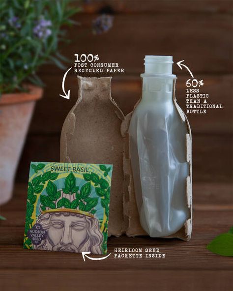 Seed Packaging Eco Packaging Design, Bottle Design Packaging, Eco Packaging, Raspberry Seed Oil, Rapeseed Oil, Soap Packaging, Moisturizing Shampoo, Body Cleanser, Sustainable Packaging